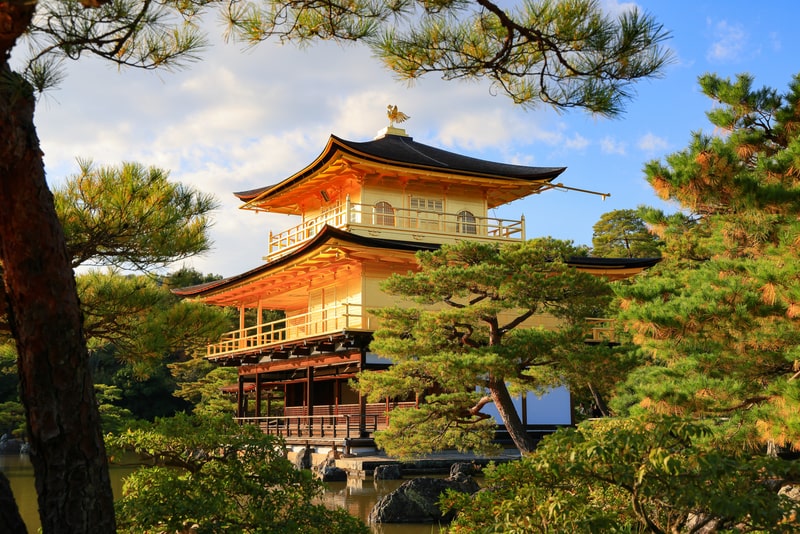 Bei einer Japan Studienreise besichtigen Teilnehmer den Goldenen Pavillon Kinkaku-ji in Kyoto